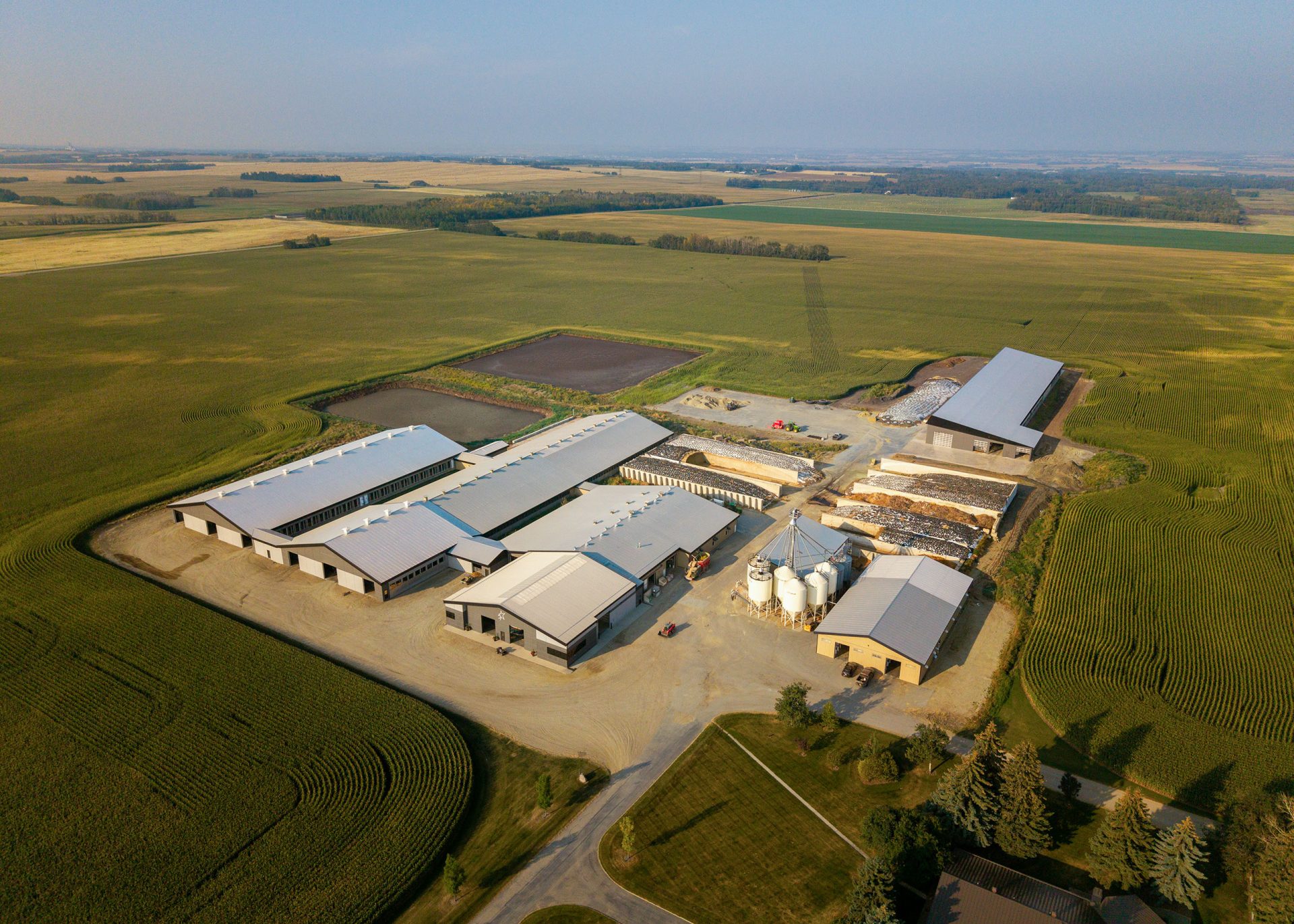 Exterior view of a farm on a sunny day