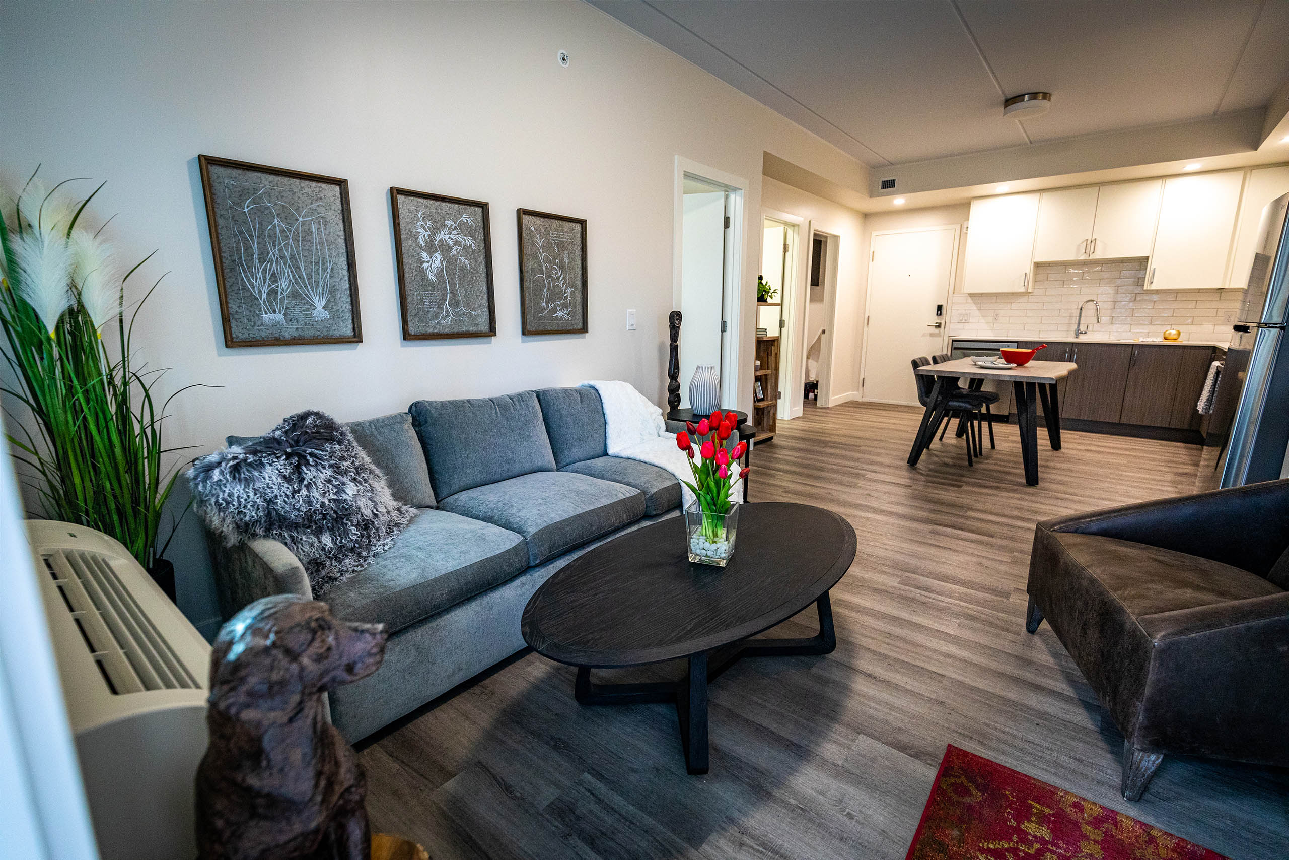 Kitchen and living room area with wood flooring, ceiling lights, white walls, along with dark coloured furniture
